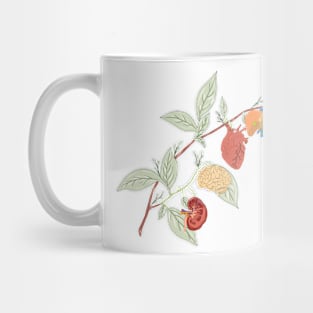 Anatomy Art Mug